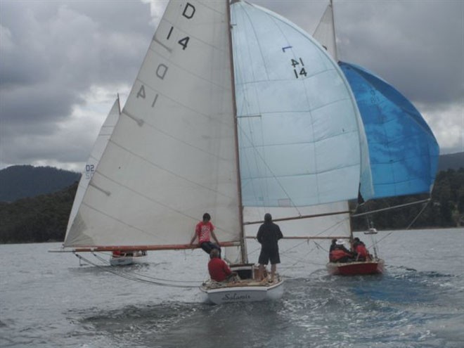 Salamis sailing pursuit of other D-class yachts on the D’Entrecasteaux Channel at Kettering - Cygnet Regatta 2012 © Andrew Norman